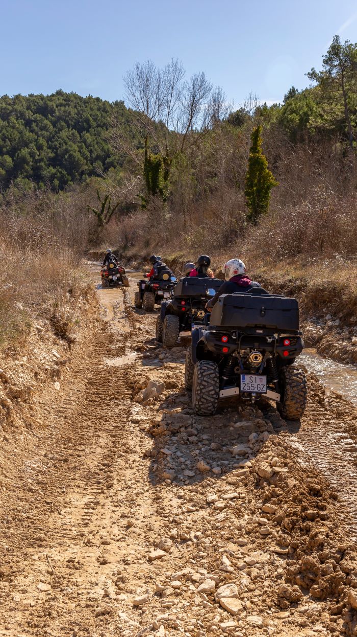 Quad ispred vinarije u zaleđu Skradina